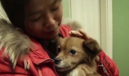 狗子黑料爆料视频,视频爆料背后的真相与争议